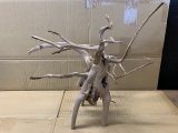 珍しい流木　ホワイトブランチウッド　Lサイズ　10番　神戸店在庫　　