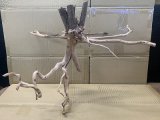 珍しい流木　ホワイトブランチウッド　8番　神戸店在庫　　