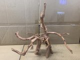 珍しい流木　ホワイトブランチウッド　3番　神戸店在庫　　