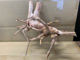 珍しい流木　ホワイトブランチウッド　Lサイズ　8番　神戸店在庫　　