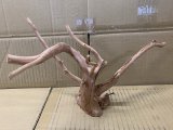珍しい流木　ホワイトブランチウッド　10番　神戸店在庫　　