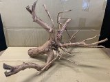 珍しい流木　ホワイトブランチウッド　Lサイズ　15番　神戸店在庫　　