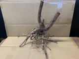 珍しい流木　ホワイトブランチウッド　Lサイズ　9番　神戸店在庫　　