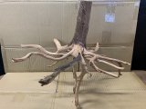 珍しい流木　ホワイトブランチウッド　Lサイズ　3番　神戸店在庫　　