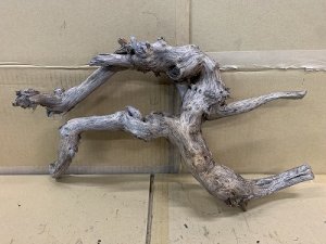 画像1: 珍しい流木　ホーンウッド　23番　神戸店在庫　　