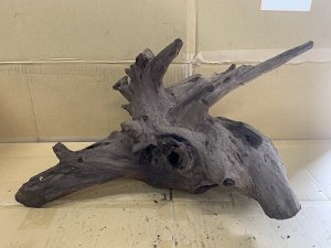 画像1: 珍しい流木　ホーンウッド　19番　神戸店在庫　　