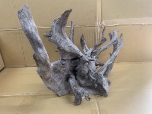 画像1: 珍しい流木　ブラックホーン　1番　神戸店在庫　　