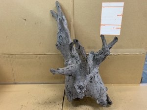 画像1: 珍しい流木　ホーンウッド　30番　神戸店在庫　　