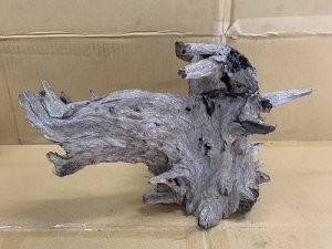 画像1: 珍しい流木　ブラックホーン　5番　神戸店在庫　　