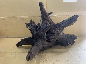画像1: 珍しい流木　ホーンウッド　11番　神戸店在庫　　
