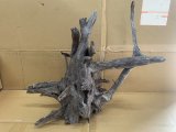 珍しい流木　ブラックホーン　2番　神戸店在庫　　