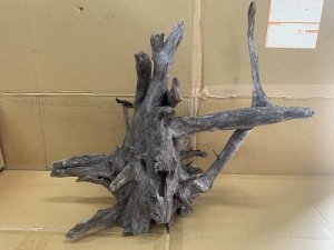 画像1: 珍しい流木　ブラックホーン　2番　神戸店在庫　　