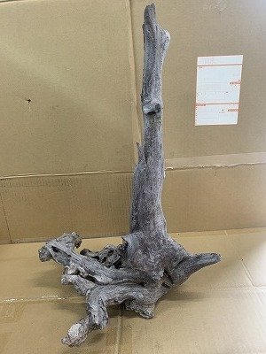 画像1: 珍しい流木　ホーンウッド　6番　神戸店在庫　　