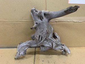 画像1: 珍しい流木　ホーンウッド　26番　神戸店在庫　　