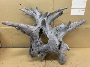 画像1: 珍しい流木　ホーンウッド　29番　神戸店在庫　　