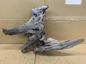 画像1: 珍しい流木　ホーンウッド　24番　神戸店在庫　　
