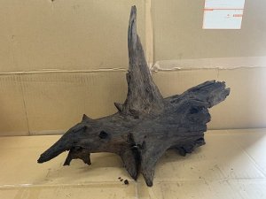 画像1: 珍しい流木　ホーンウッド　12番　神戸店在庫　　