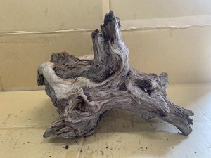 画像1: 珍しい流木　ホーンウッド　17番　神戸店在庫　　