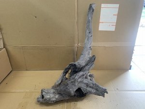 画像1: 珍しい流木　ホーンウッド　15番　神戸店在庫　　