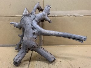 画像1: 珍しい流木　ホーンウッド　28番　神戸店在庫　　