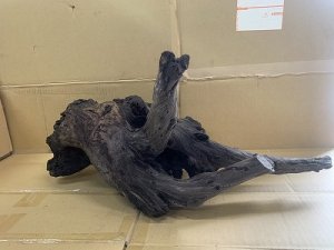 画像1: 珍しい流木　ホーンウッド　7番　神戸店在庫　　