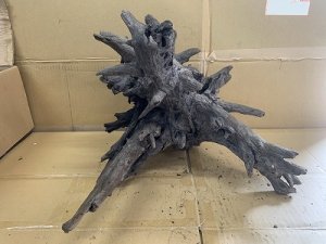 画像1: 珍しい流木　ホーンウッド　20番　神戸店在庫　　