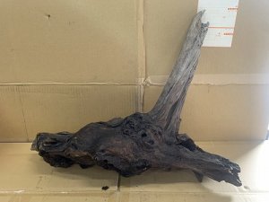 画像1: 珍しい流木　ホーンウッド　9番　神戸店在庫　　