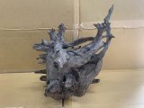 珍しい流木　ブラックホーン　4番　神戸店在庫　　