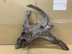 画像1: 珍しい流木　ホーンウッド　27番　神戸店在庫　　