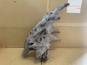 画像1: 珍しい流木　ホーンウッド　13番　神戸店在庫　　