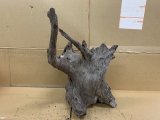 珍しい流木　ホーンウッド　22番　神戸店在庫　　