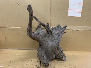 画像1: 珍しい流木　ホーンウッド　22番　神戸店在庫　　