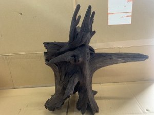 画像1: 珍しい流木　ホーンウッド　8番　神戸店在庫　　