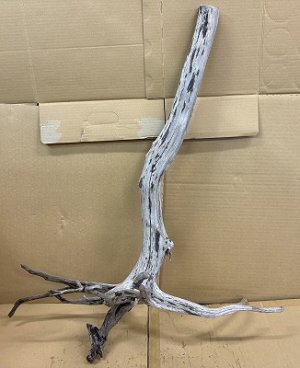 画像1: 珍しい流木　天然特大流木　1番　神戸店在庫　　