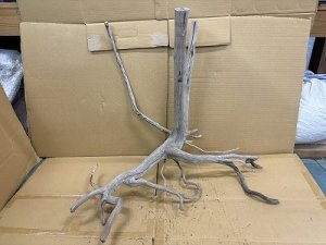 画像1: 珍しい流木　天然特大流木　4番　神戸店在庫　　