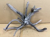 珍しい流木　天然特大流木　9番　神戸店在庫　　