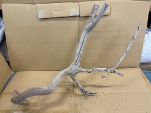 画像1: 珍しい流木　天然特大流木　15番　神戸店在庫　　