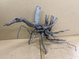 画像1: 珍しい流木　天然流木　小さめ　1番　神戸店在庫　　