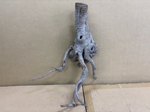 画像1: 珍しい流木　天然流木　小さめ　4番　神戸店在庫　　