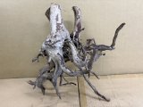 珍しい流木　天然流木　小さめ　2番　神戸店在庫　　