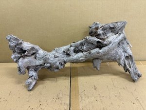 画像1: 珍しい流木　天然流木　8番　神戸店在庫　　