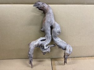 画像1: 珍しい流木　天然流木　1番　神戸店在庫　　