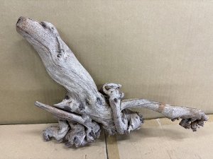 画像1: 珍しい流木　天然流木　6番　神戸店在庫　　