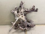 珍しい流木　天然流木　3番　神戸店在庫　　