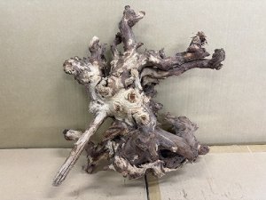 画像1: 珍しい流木　天然流木　3番　神戸店在庫　　