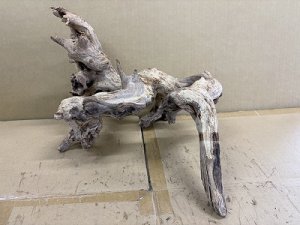 画像1: 珍しい流木　天然流木　2番　神戸店在庫　　