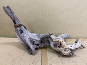 画像1: 珍しい流木　天然流木　7番　神戸店在庫　　