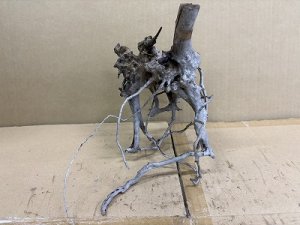 画像1: 珍しい流木　天然流木　小さめ　3番　神戸店在庫　　