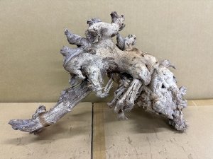 画像1: 珍しい流木　天然流木　4番　神戸店在庫　　