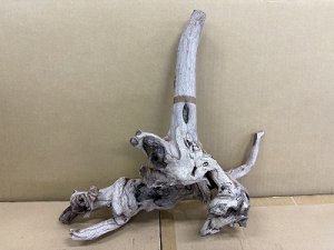 画像1: 珍しい流木　天然流木　5番　神戸店在庫　　